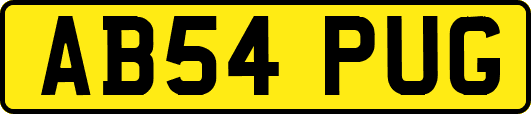 AB54PUG