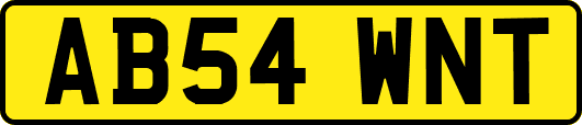 AB54WNT