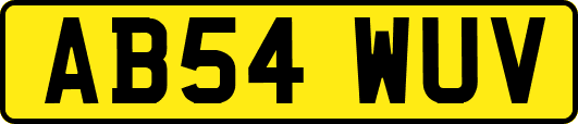 AB54WUV