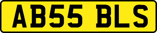 AB55BLS