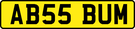 AB55BUM