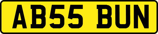 AB55BUN