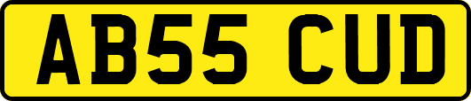 AB55CUD