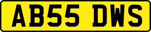 AB55DWS