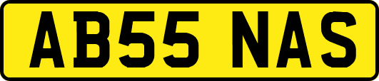 AB55NAS