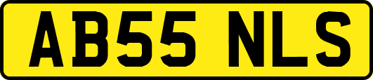 AB55NLS