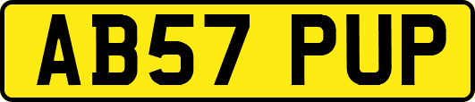AB57PUP