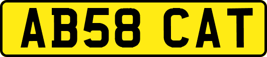 AB58CAT
