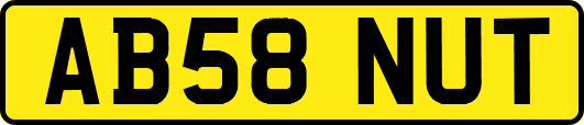 AB58NUT