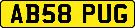 AB58PUG