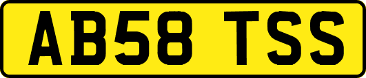 AB58TSS