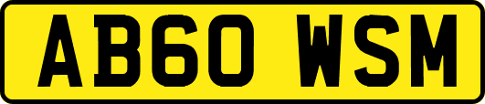 AB60WSM