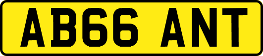AB66ANT