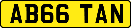 AB66TAN