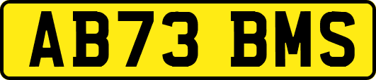 AB73BMS
