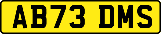 AB73DMS