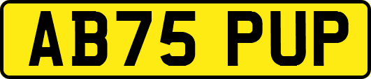 AB75PUP