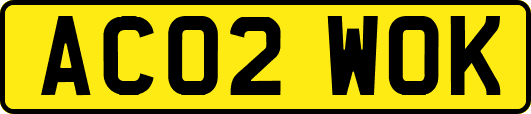 AC02WOK