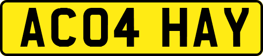 AC04HAY
