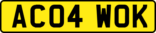 AC04WOK