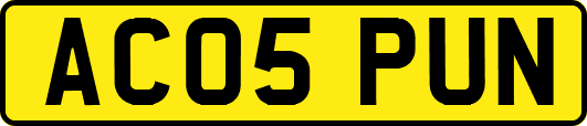 AC05PUN