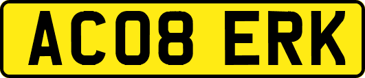 AC08ERK