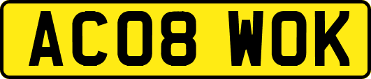 AC08WOK