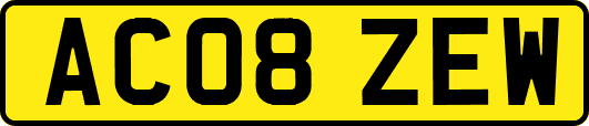 AC08ZEW