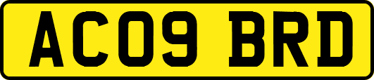 AC09BRD