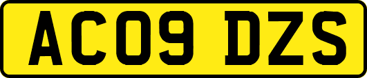 AC09DZS