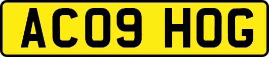 AC09HOG