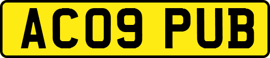AC09PUB