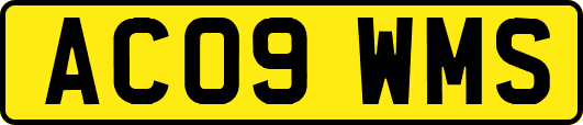 AC09WMS