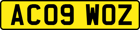AC09WOZ