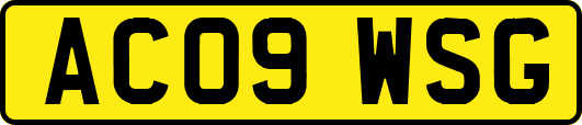 AC09WSG