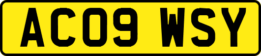 AC09WSY