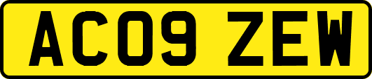 AC09ZEW