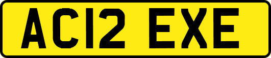 AC12EXE