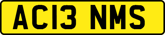 AC13NMS