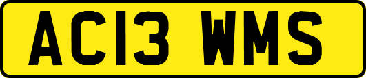 AC13WMS