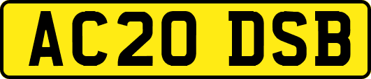 AC20DSB