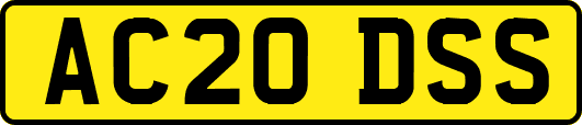 AC20DSS