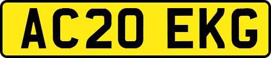 AC20EKG