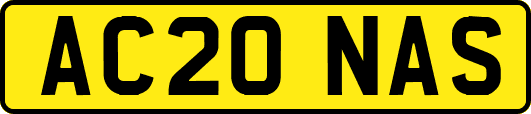 AC20NAS