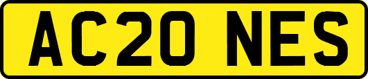 AC20NES