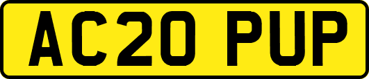 AC20PUP