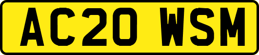 AC20WSM