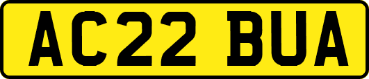AC22BUA