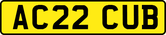 AC22CUB