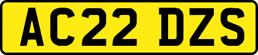 AC22DZS